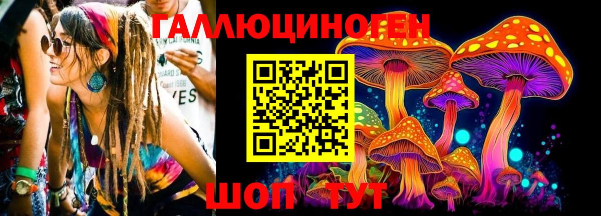 Псилоцибиновые грибы прущие грибы Бутурлиновка